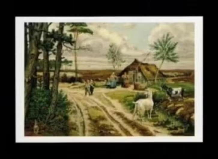 Ansichtkaart Schoolplaat De Heide in Mei, C. Jetses., Ophalen of Verzenden, 1980 tot heden, Ongelopen, Overige soorten