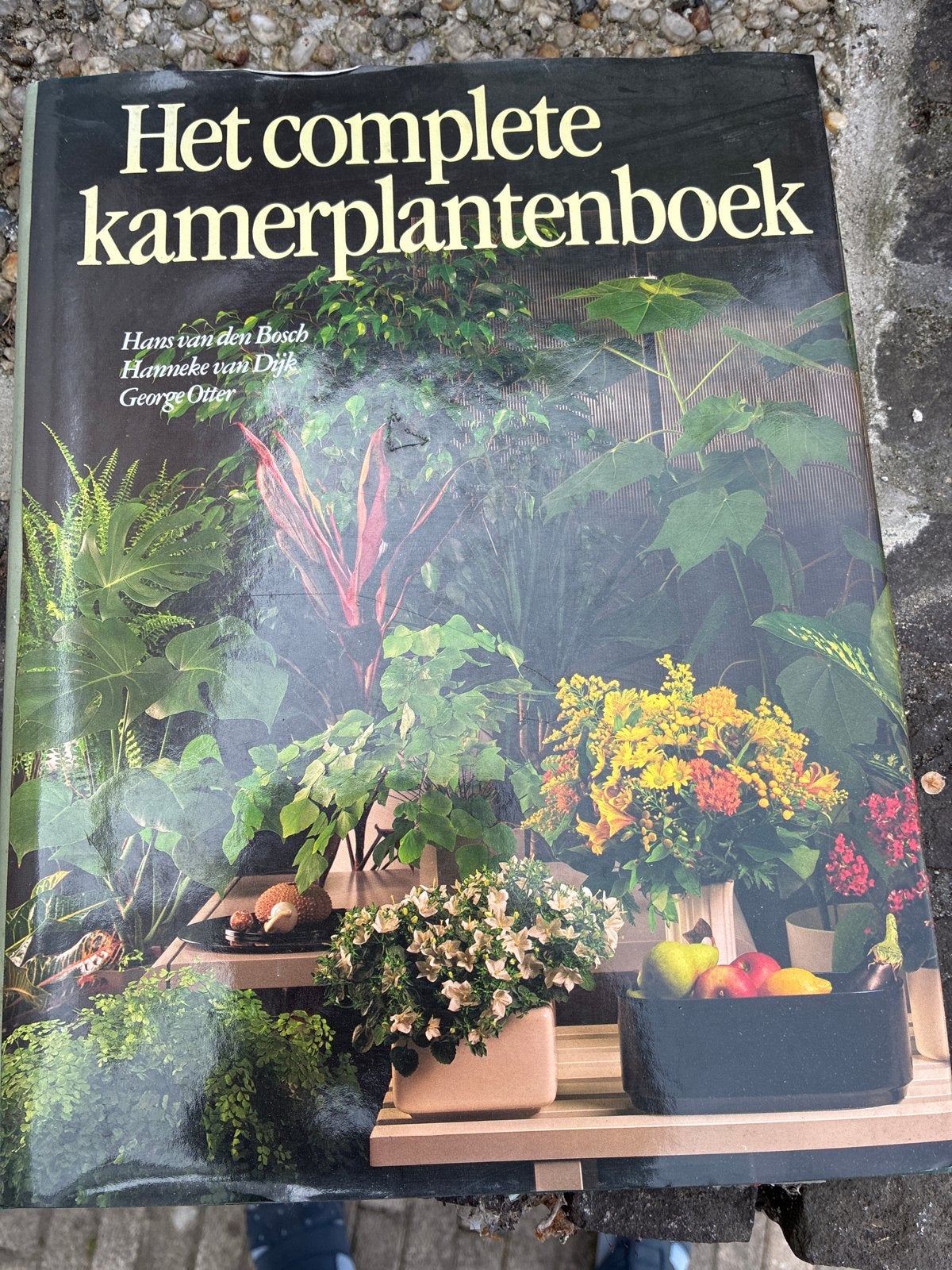 Het complete kamerplantenboek - Hans van den Bosch, Ophalen of Verzenden, Zo goed als nieuw, Kamerplanten
