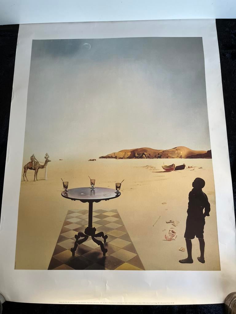 Poster van Salvador Dali, Ophalen of Verzenden, Zo goed als nieuw, A1 t/m A3, Rechthoekig Staand