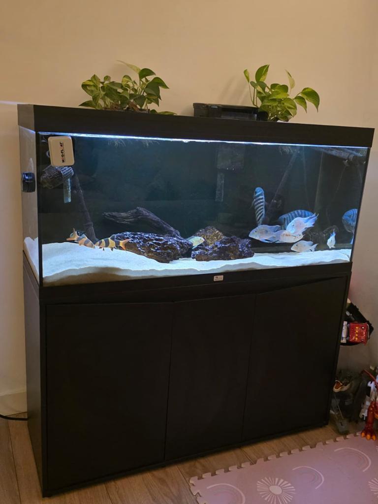 AQUATLANTIS AQUARIUM VOLGA 240 SET INCL.MEUBEL, Dieren en Toebehoren, Vissen | Aquaria en Toebehoren, Ophalen, Zo goed als nieuw