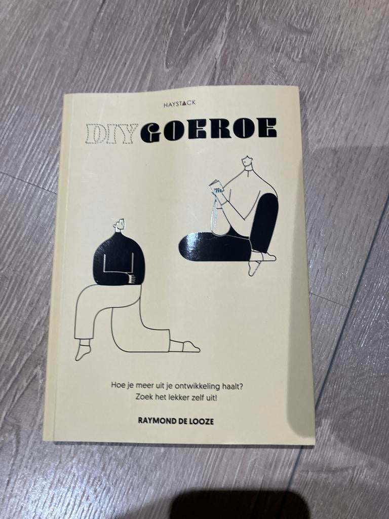DIY Goeroe - Hoe je meer uit je ontwikkeling haalt, Ophalen of Verzenden, Zo goed als nieuw