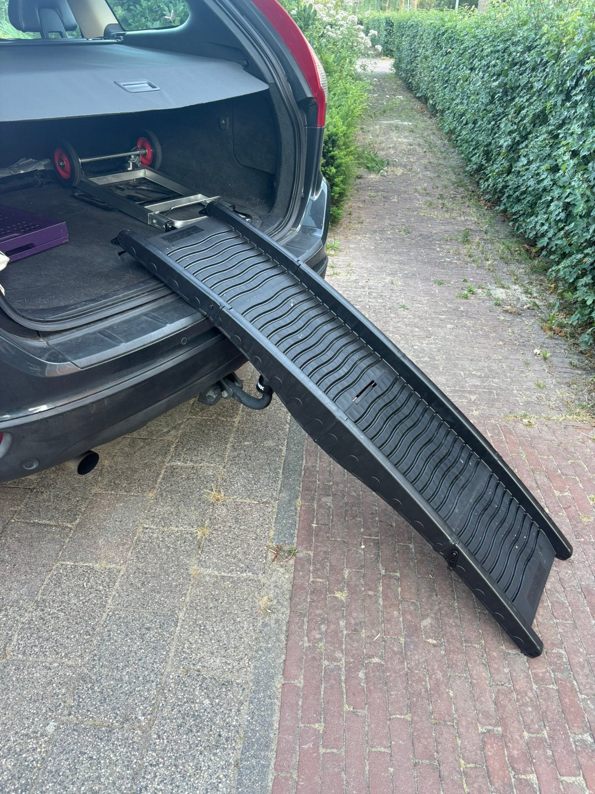Honden Loopplank, Ophalen, Zo goed als nieuw