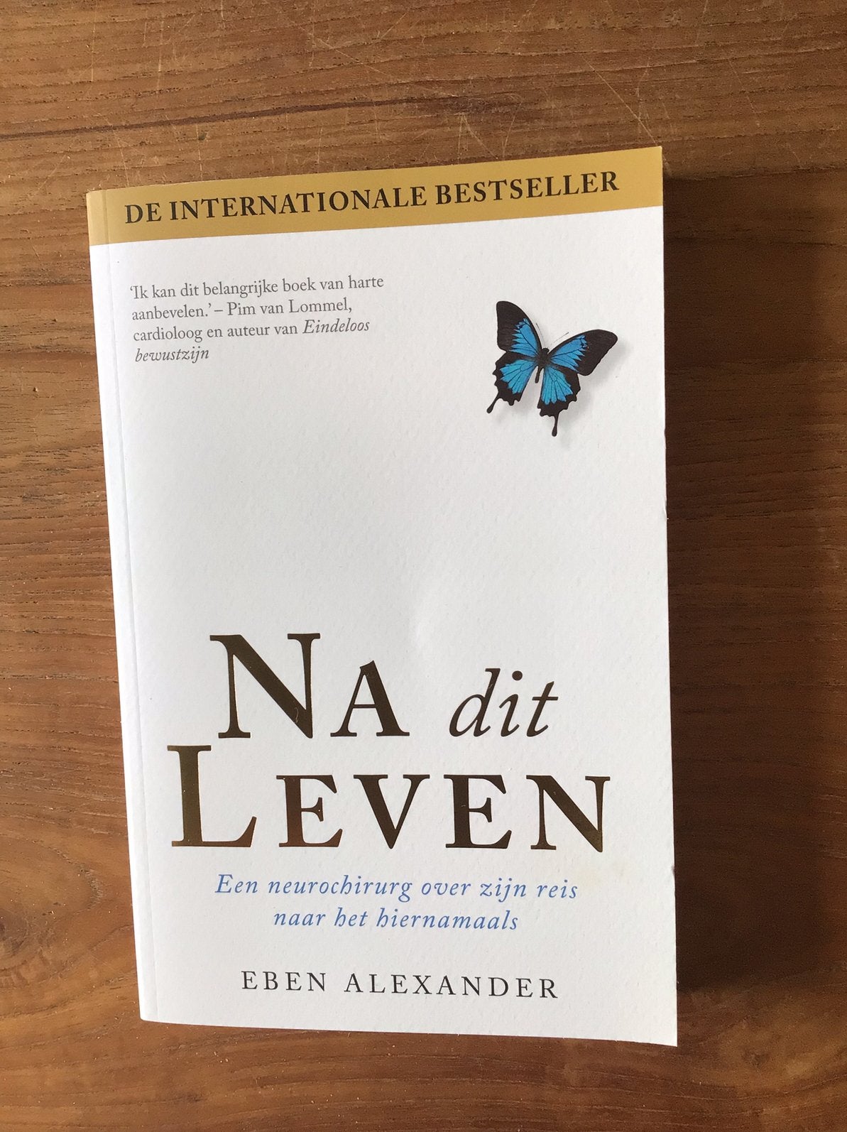 Eben Alexander - Na dit leven, Spiritualiteit algemeen, Overige typen, Nieuw, Ophalen of Verzenden