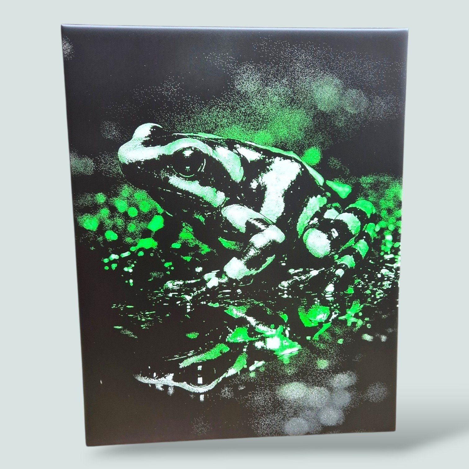 Keramische Lasergravure Tegel 20x25 – Neon Groene Kikker – H, Groen, 20 cm, Nieuw, Steen/keramiek