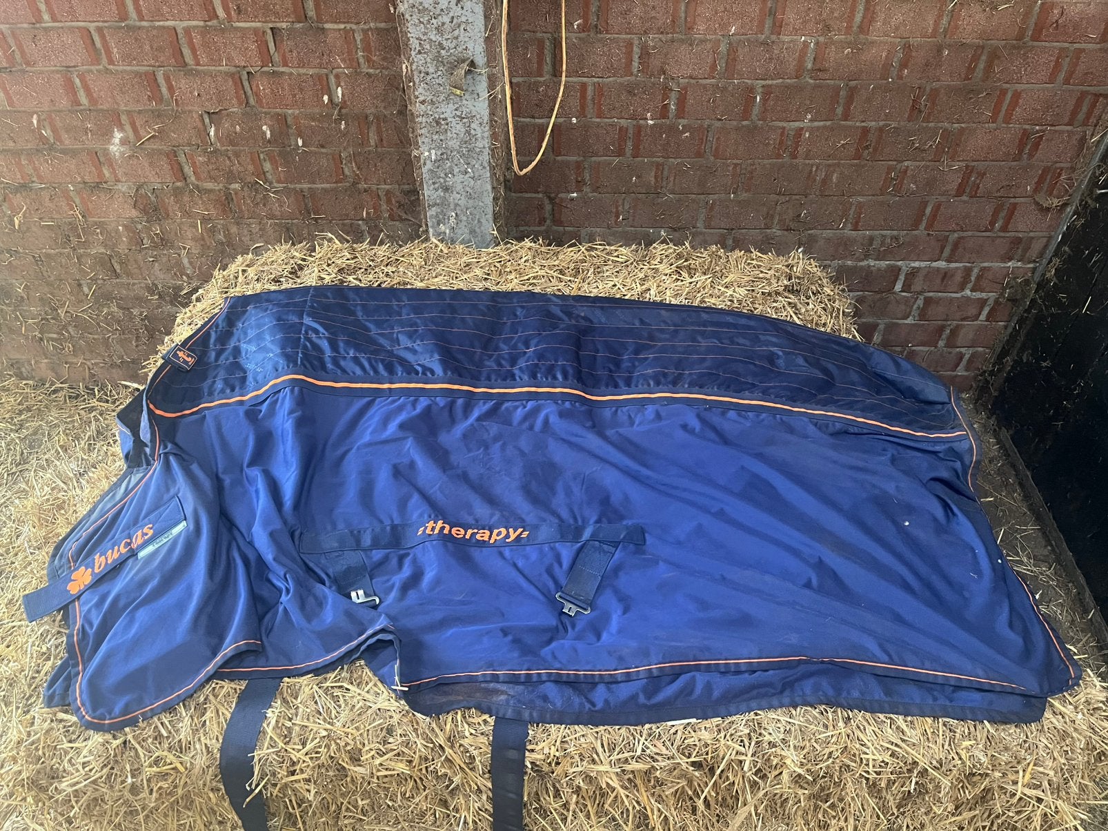 Bucas Therapy deken met hals 6’9 (205), Dieren en Toebehoren, Ophalen of Verzenden, Zo goed als nieuw, Deken, Full (L)