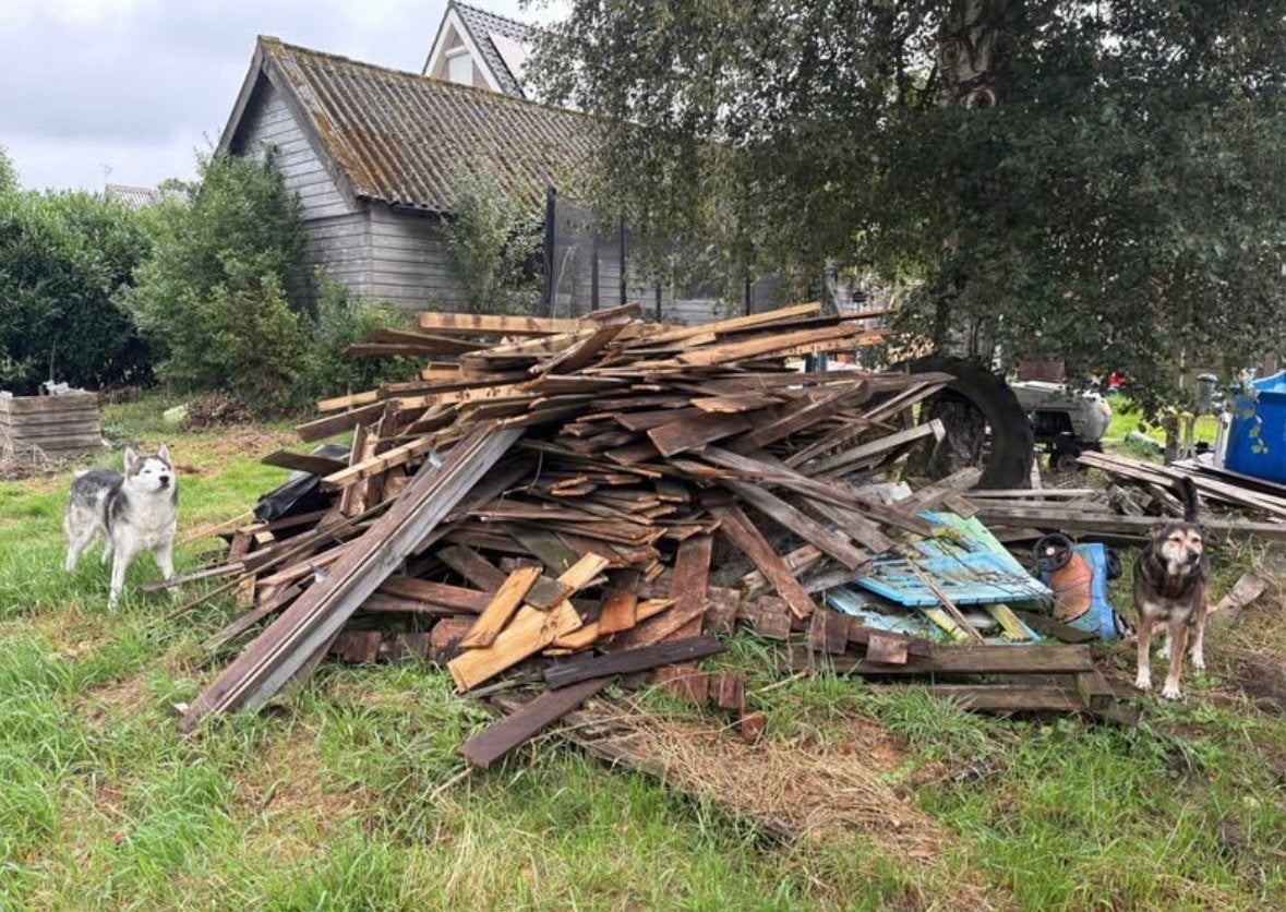 Gratis af te halen: Diverse houtsoorten voor brandhout, 6 m³ of meer, Ophalen, Overige houtsoorten, Blokken