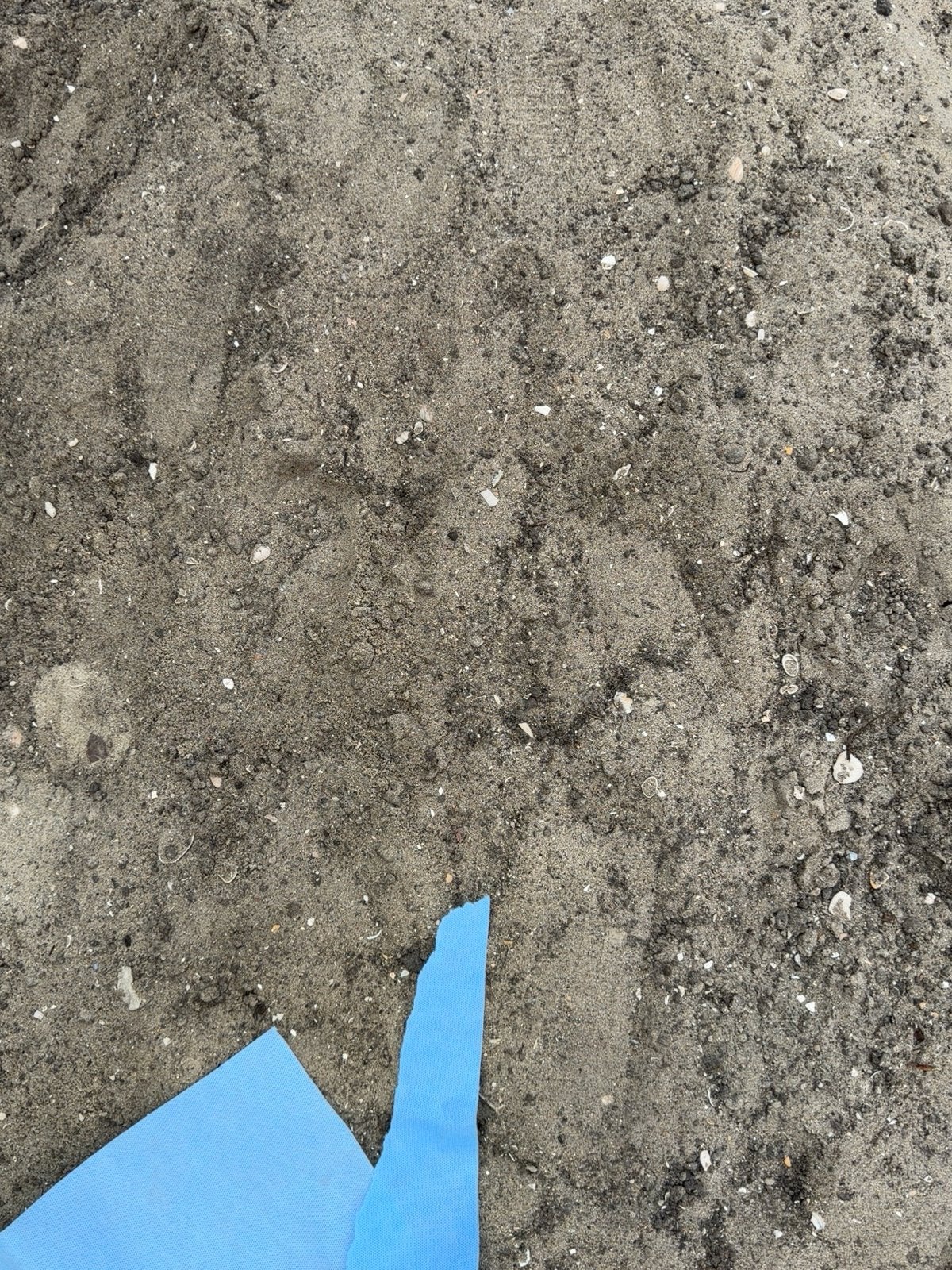 Gratis af te halen: zand/grondmengsel Nieuwerkerk a/d IJssel, Ophalen, Gebruikt, Ophoogzand