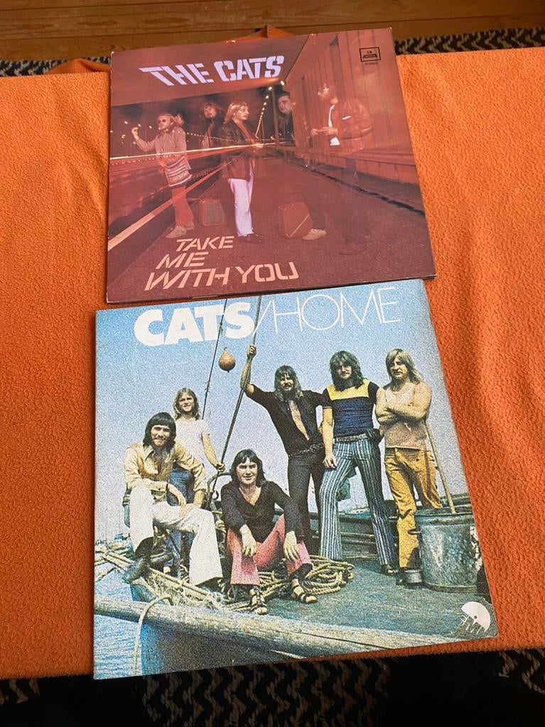 The Cats, Ophalen of Verzenden, Zo goed als nieuw, 12 inch