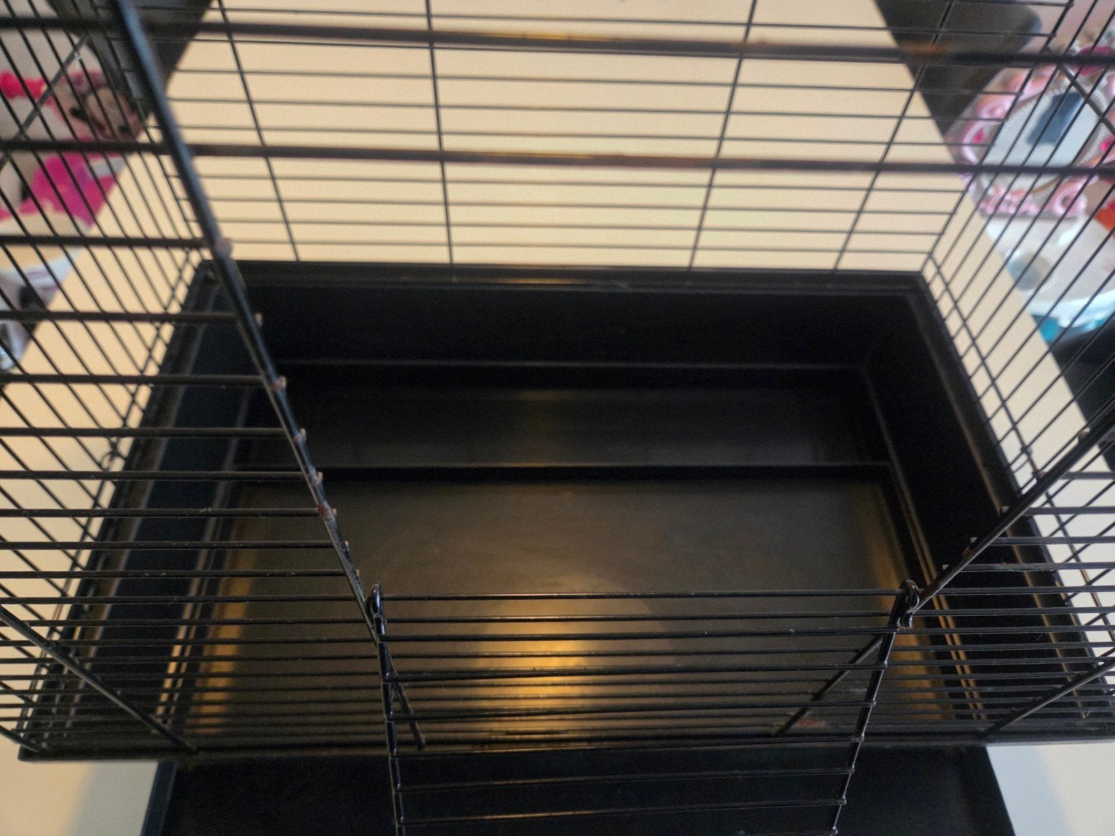 zwarte vogelkooi, Ophalen, Gebruikt, Metaal, Vogelkooi