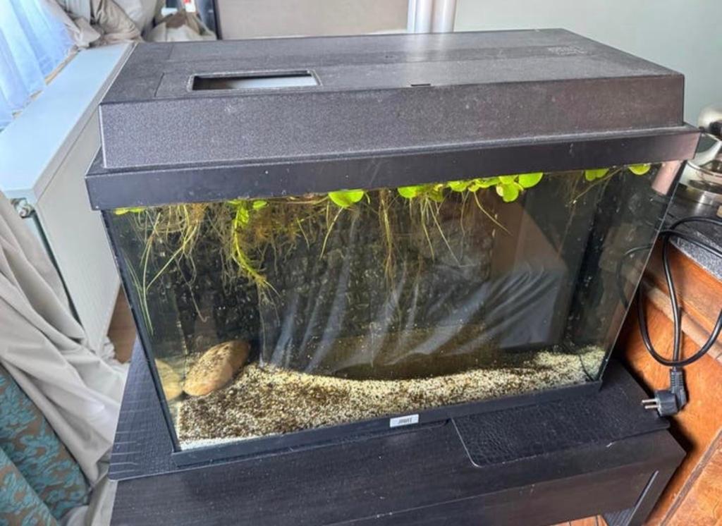 Juwel aquarium zwart met licht en achterwand, Ophalen, Verlichting of Verwarming