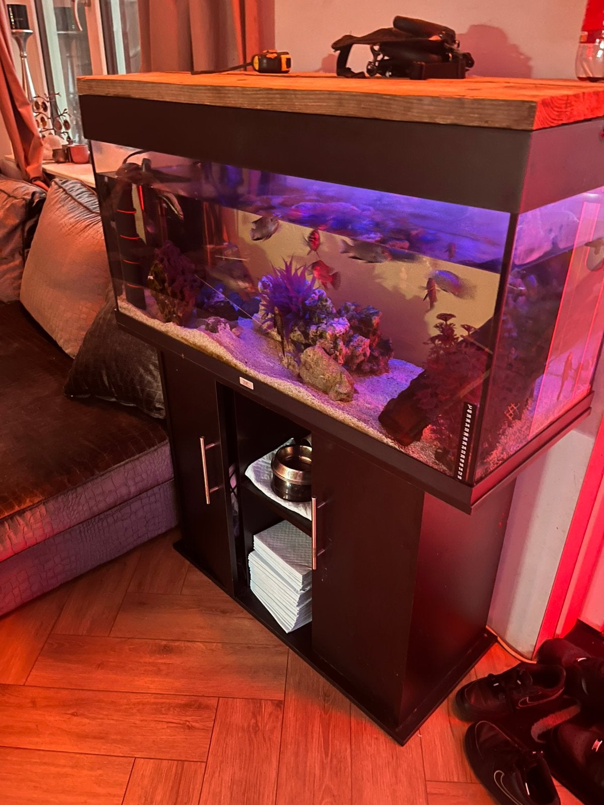 180 L aquariums +malawi cichlide en synodonthis meerval, Ophalen of Verzenden, Zo goed als nieuw, Gevuld zoetwateraquarium