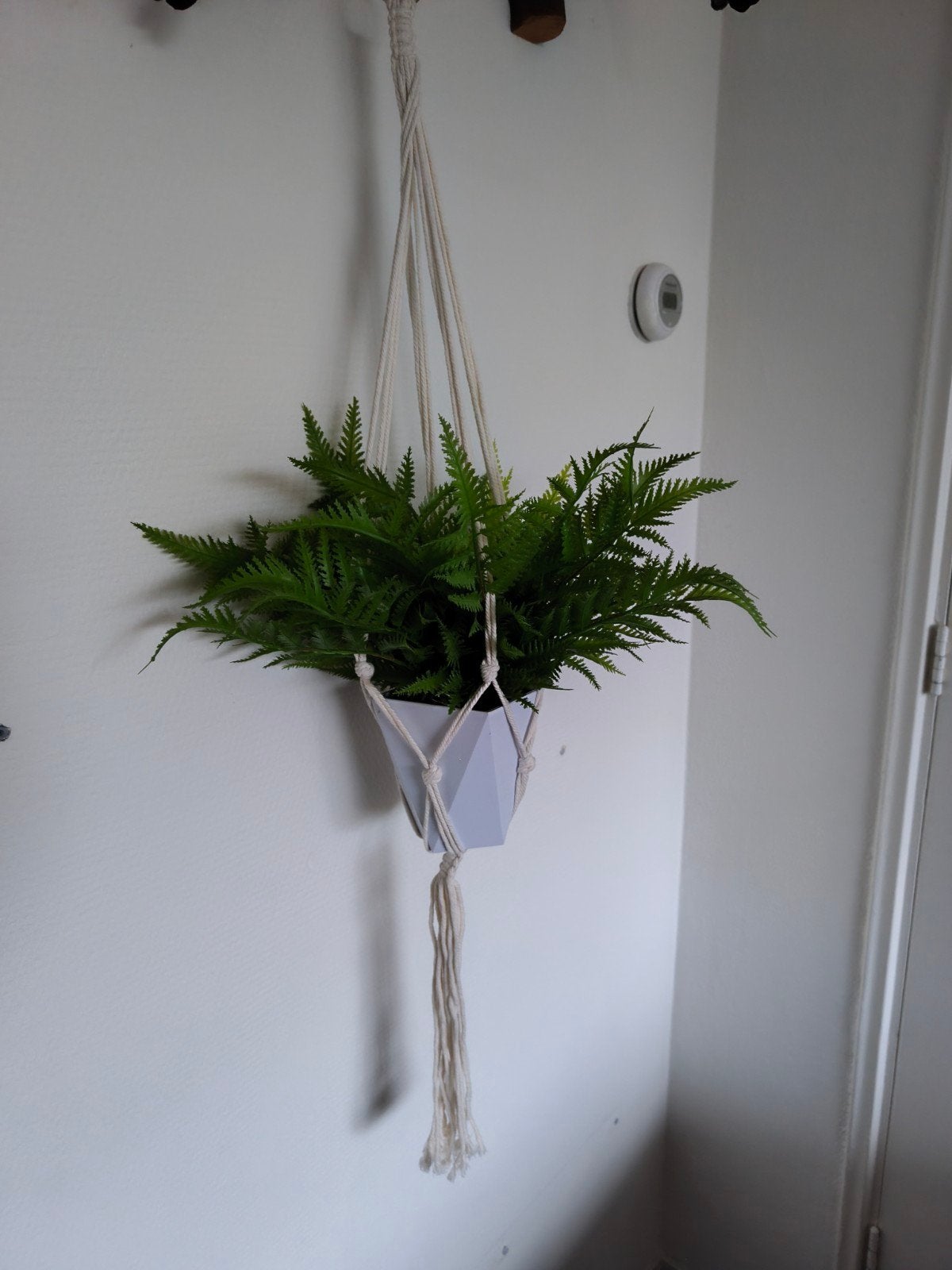 Kunstplant in macramé hanger - Groene varen, Ophalen of Verzenden