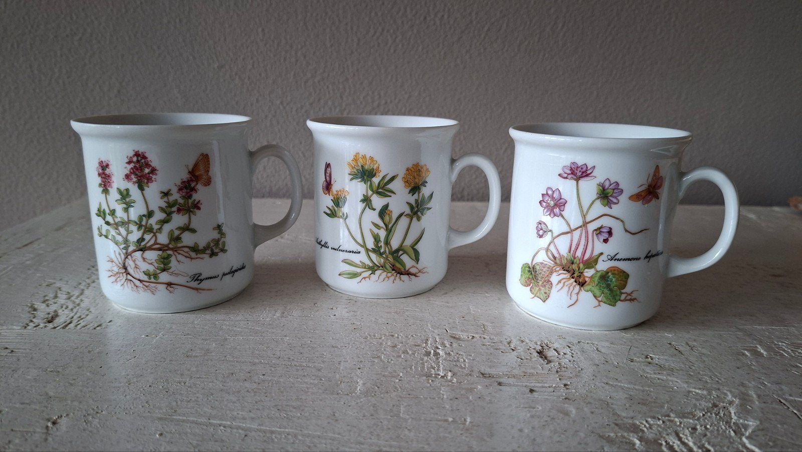 Vintage Kronester Bavaria botanische mokken (set van 3), Ophalen of Verzenden, Zo goed als nieuw