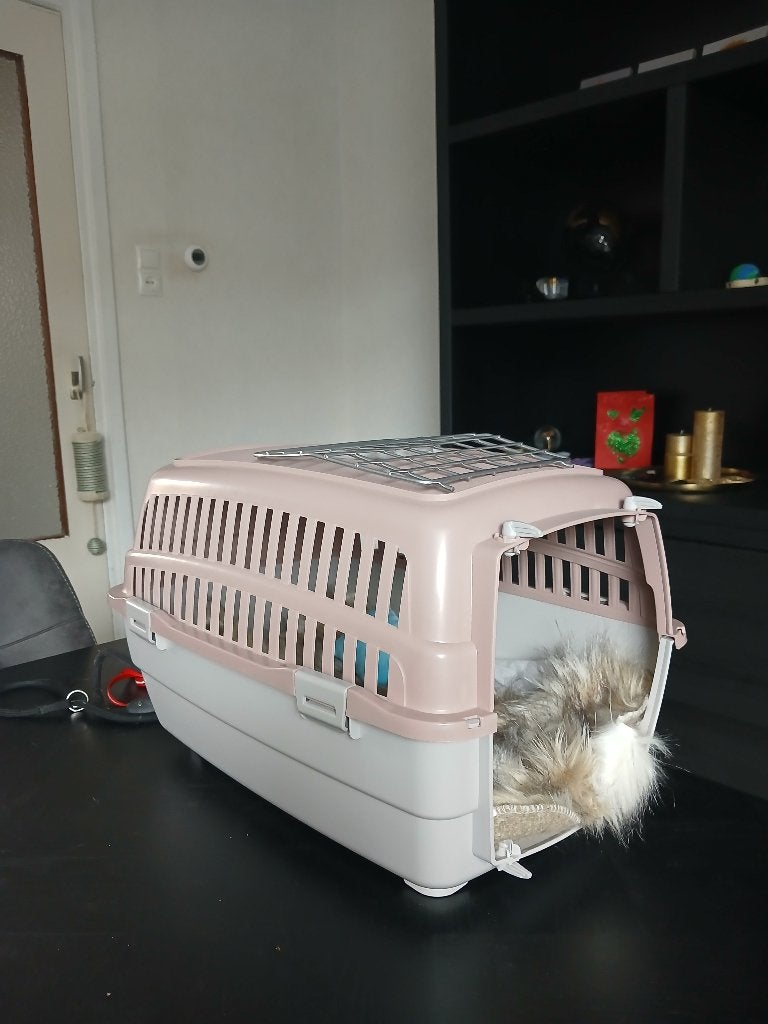 Reisbox kat, Dieren en Toebehoren, Ophalen, Zo goed als nieuw