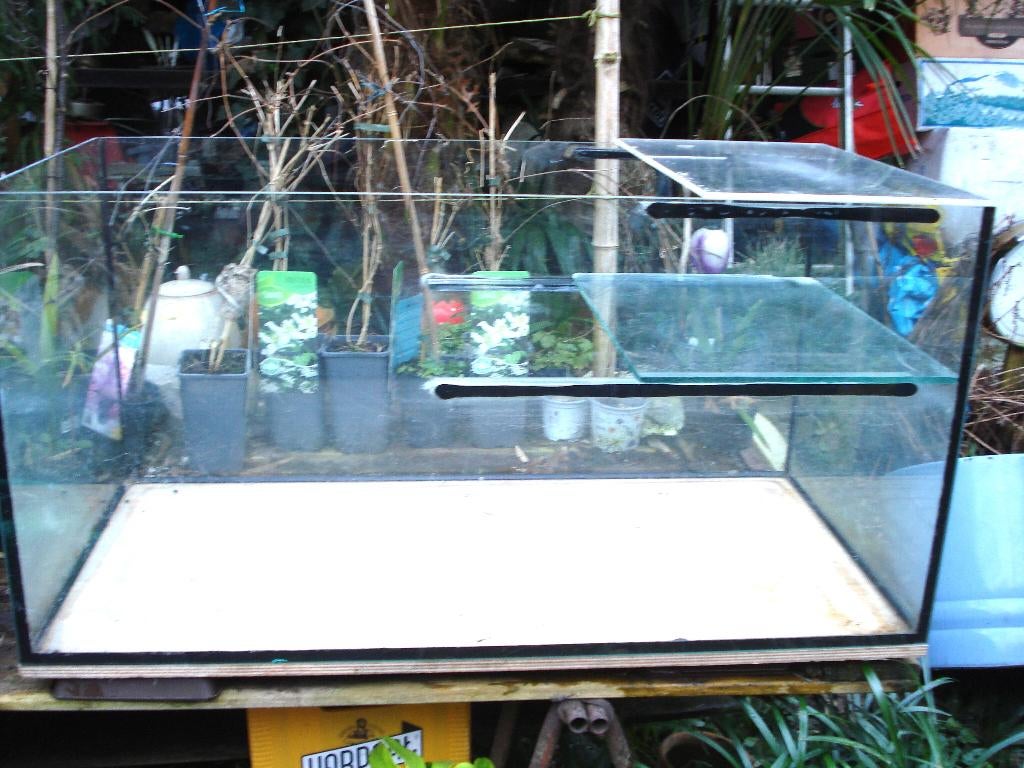 Waterschildpadden AQUARIUM 100 x 50 x 50, Dieren en Toebehoren, Ophalen, Gebruikt, Overige typen