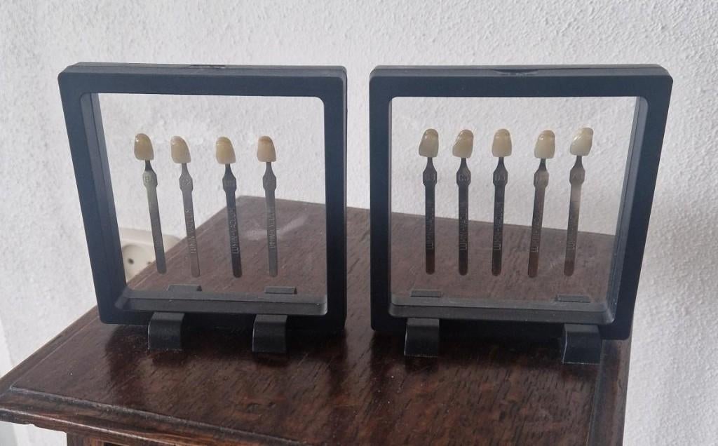 Oude kunsttand modellen in raamwerk geklemd, Ophalen of Verzenden