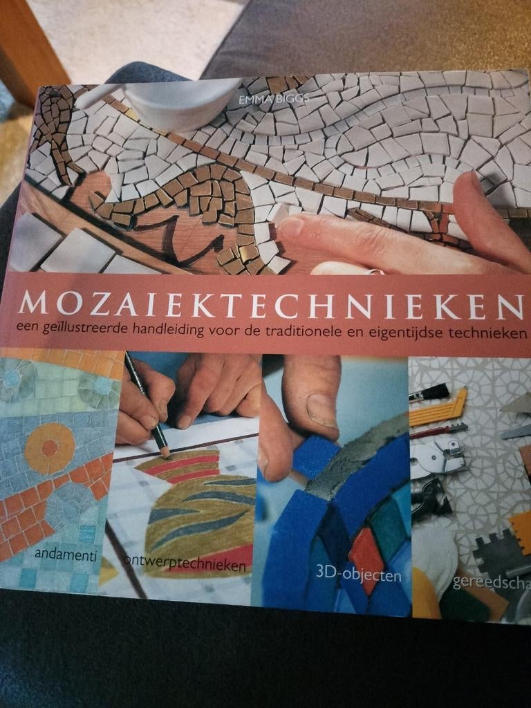 Mosaïektechnieken Boek - Emma Biggs, Boeken, Ophalen of Verzenden, Zo goed als nieuw, Overige onderwerpen, Emma Biggs