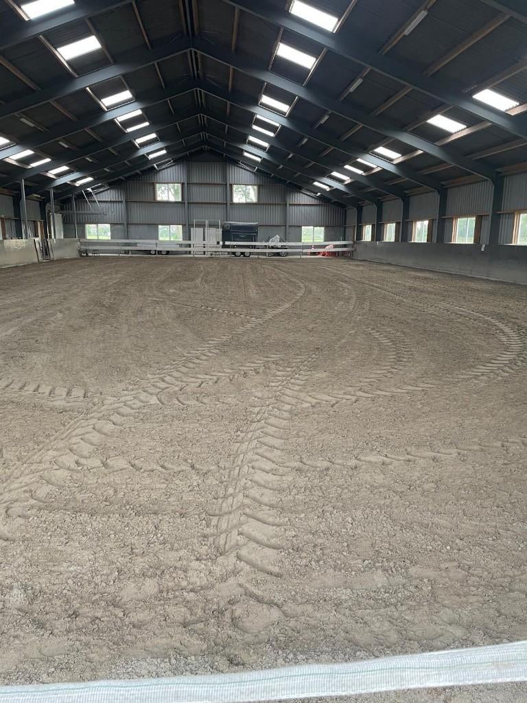 Paardenpension, Weidegang, 4 paarden of pony's of meer