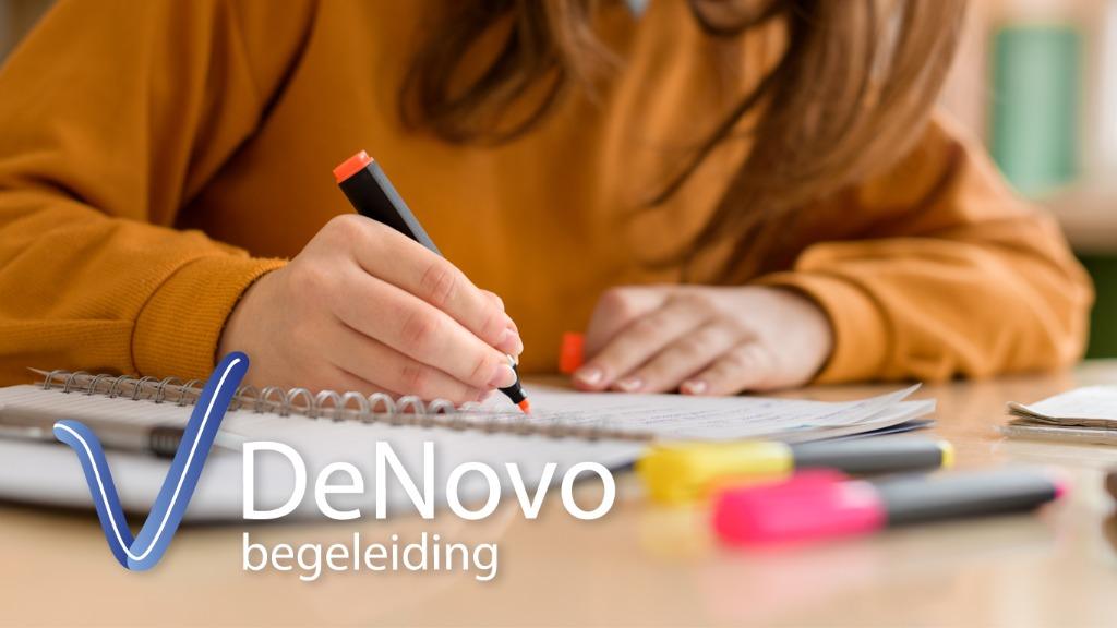 Studiebegeleiding en bijles natuurkunde scheikunde wiskunde, Diensten en Vakmensen, Bijles, Privé-les en Taalles, Privéles, Bijles