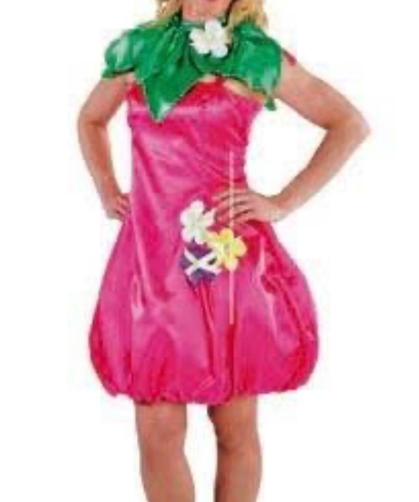 Carnaval Roze jurk bloem mt. L, Carnaval, Maat 42/44 (L), Ophalen of Verzenden, Zo goed als nieuw