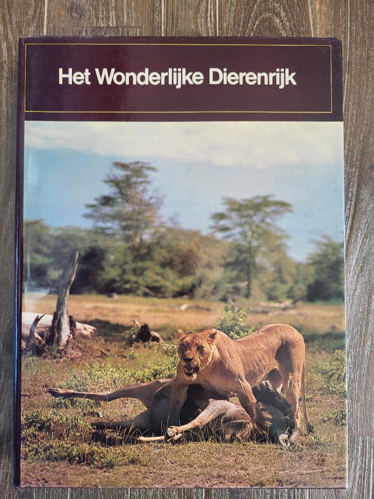 Het wonderlijke dierenrijk - J. en A.Nayman, Boeken, Ophalen of Verzenden, Zo goed als nieuw, J. Nayman, Natuur algemeen