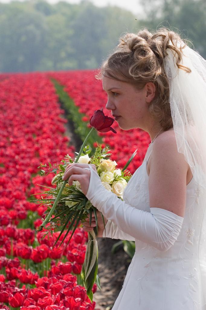 Trouwfotograaf & Evenementenfotografie - Vakfotograaf, Diensten en Vakmensen, Komt aan huis, Fotograaf