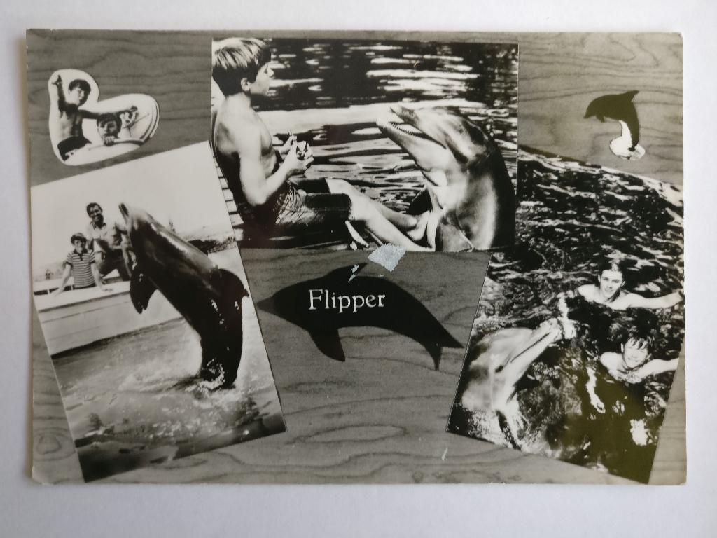 2X ANSICHTKAART FLIPPER KINDERSERIE VINTAGE JAREN 60 DOLFIJN, Verzenden, 1960 tot 1980, Ongelopen, Sterren en Beroemdheden