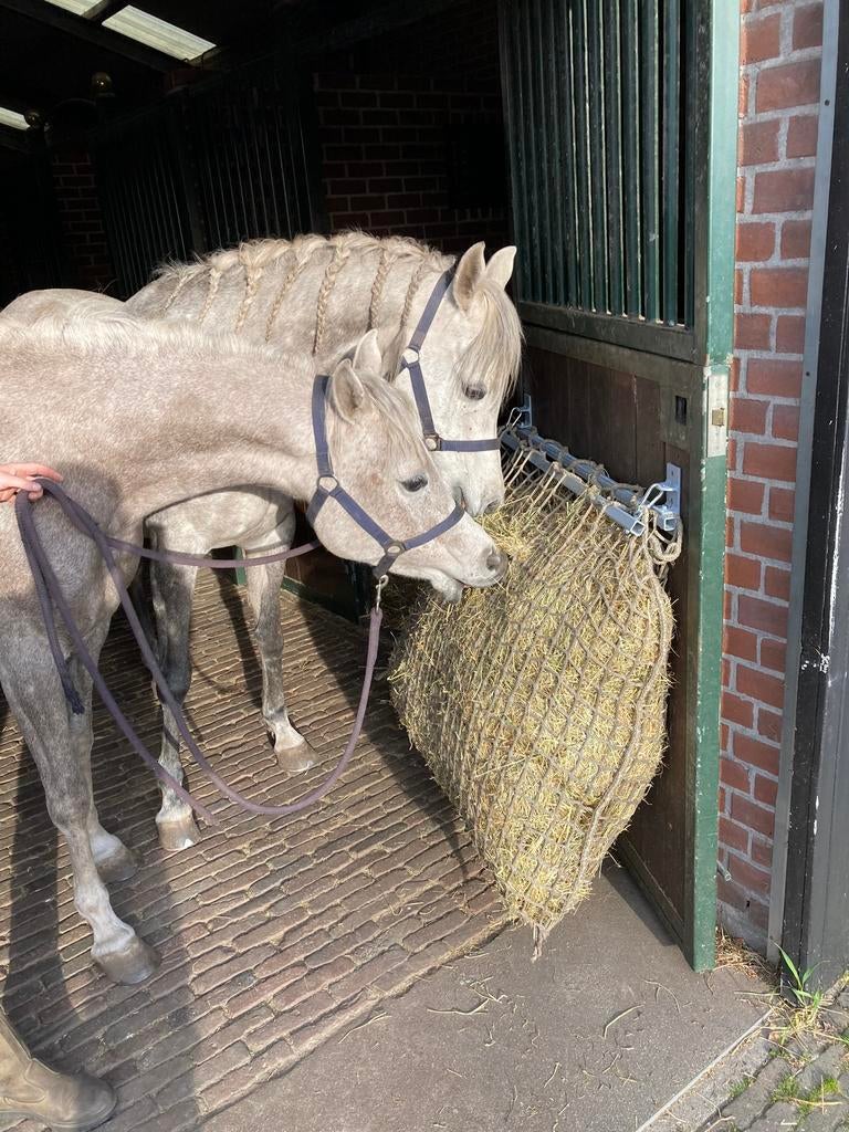 Hooinethouders (slowfeeder), Ophalen, Nieuw