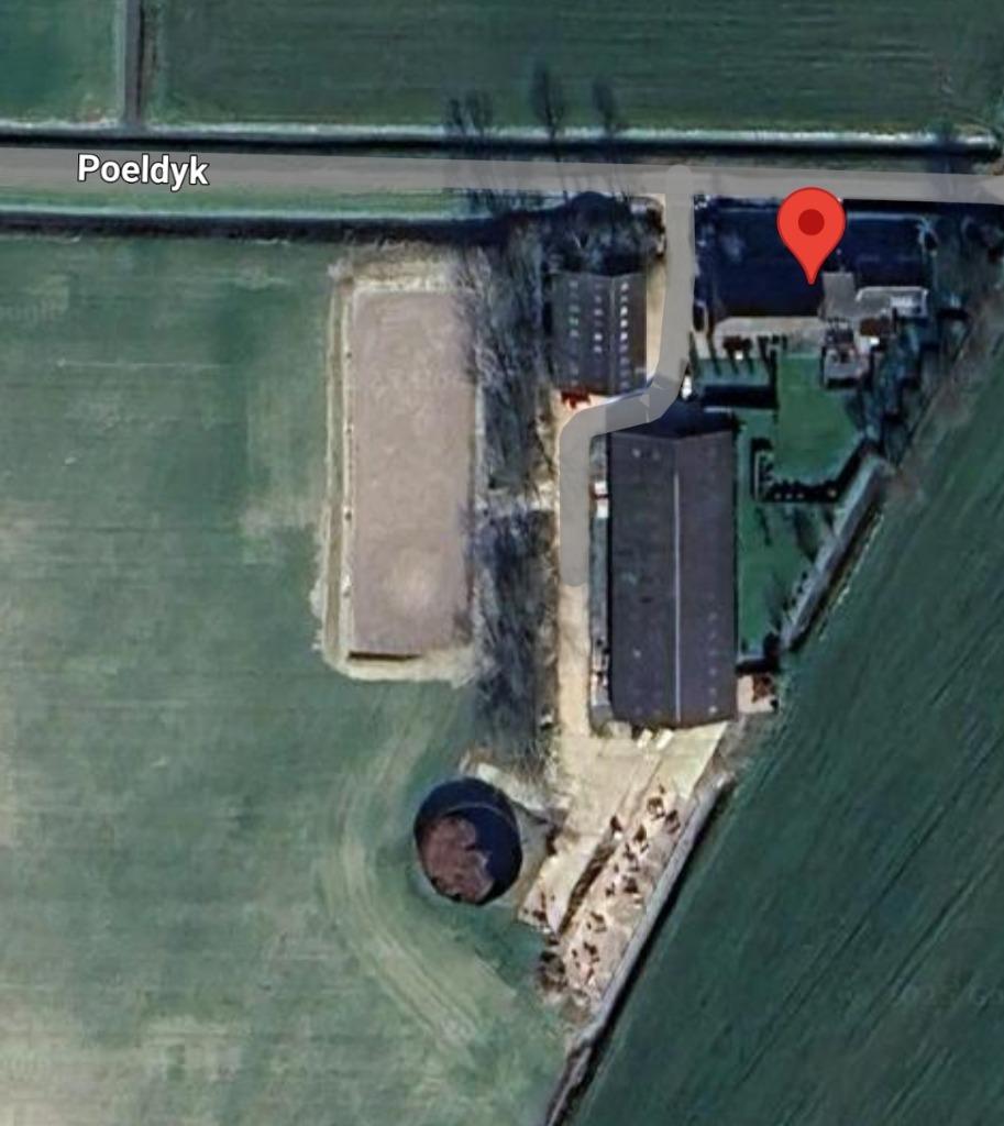 Pensionstalling iets ten noorden van Leeuwarden, Weidegang, 4 paarden of pony's of meer