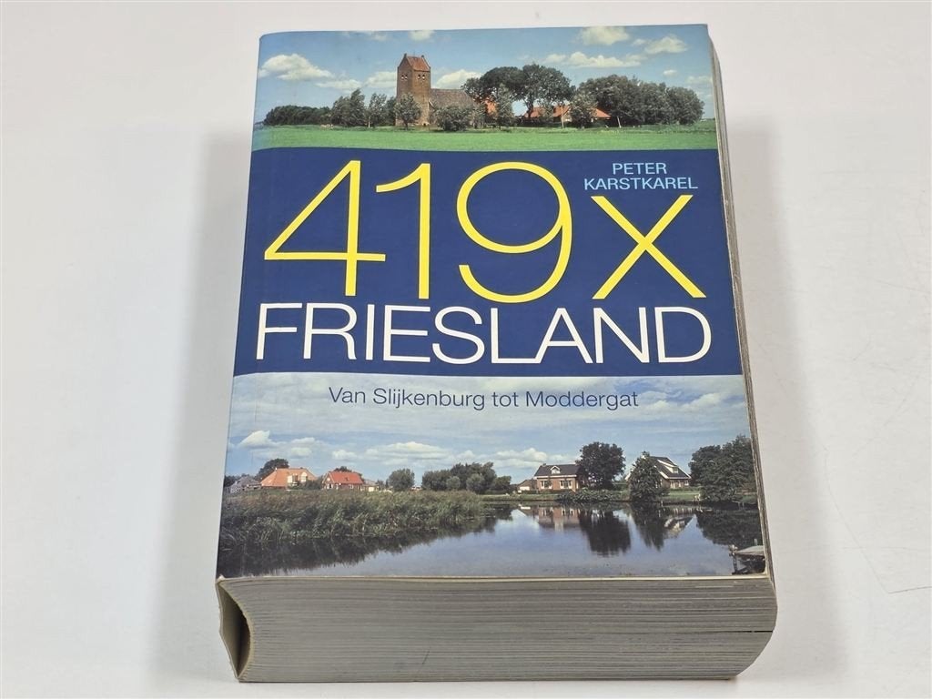 419x Friesland — Dik Fotoboek, 1024p. Dorpen, Steden..., Ophalen of Verzenden, Gelezen