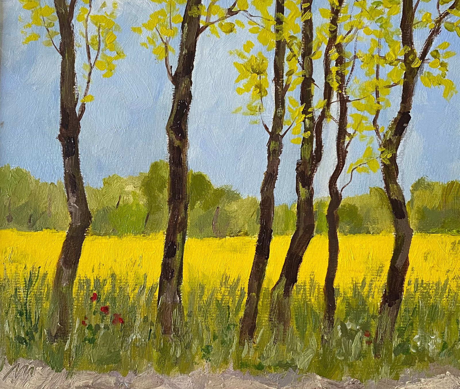 Landschap: langs het koolzaad veld, Ophalen of Verzenden