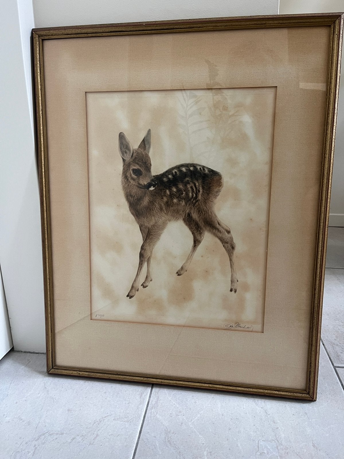 Gesigneerde prent van reekalf in lijst, Ophalen of Verzenden