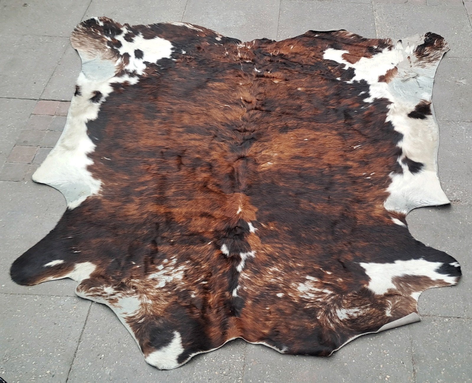 Koeienhuid huid 194cm X 189cm, Ophalen, Gebruikt, 150 tot 200 cm, 200 cm of meer