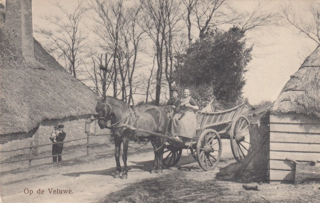 Op de Veluwe - Paard en Wagen, Verzenden, Voor 1920, Ongelopen, Gelderland