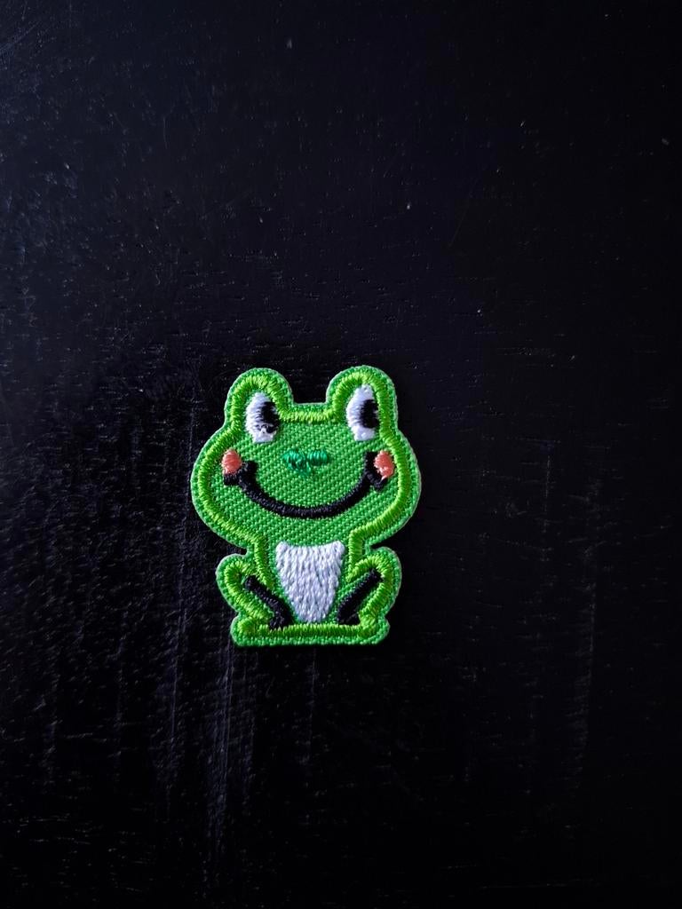 Carnavals embleem mini kikker, Kleding | Dames, Carnavalskleding en Feestkleding, Ophalen, Zo goed als nieuw, Carnaval