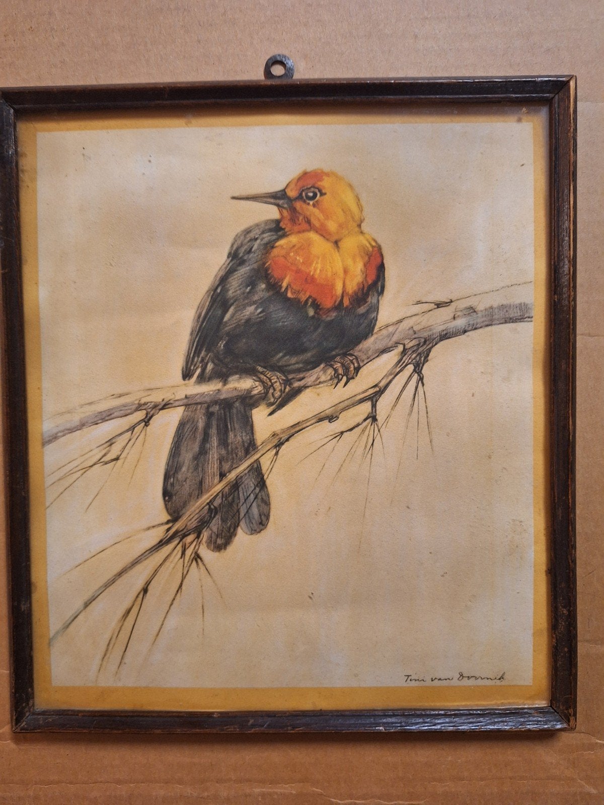 Lithografie siervogel door Tinie van Doornik, 1950 - 1999, Ophalen of Verzenden, Lithografie, Flora en Fauna