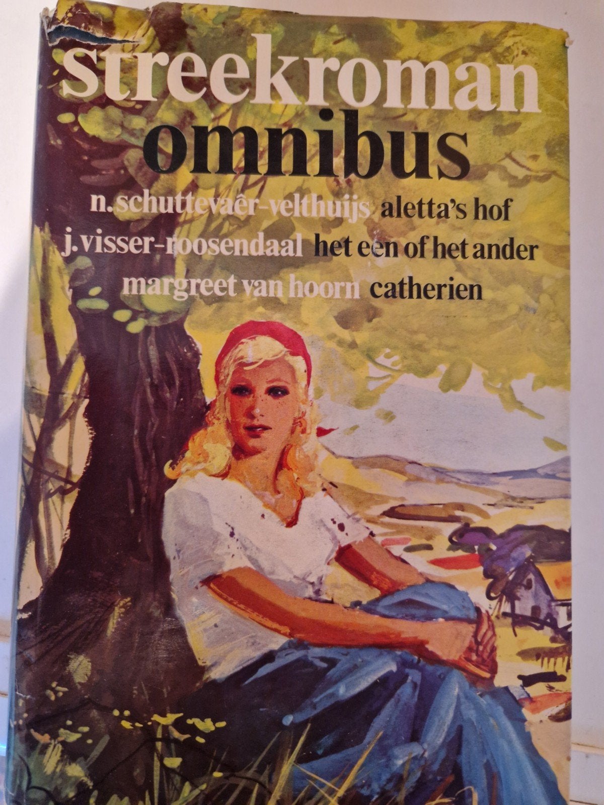 Streekroman Omnibus -N. Schuttevaer-Velthuis e.a., Boeken, Ophalen of Verzenden, Gelezen, N. Schuttevaer-Velthuis,J. Visser-Roosendaal, Margreet van Hoorn