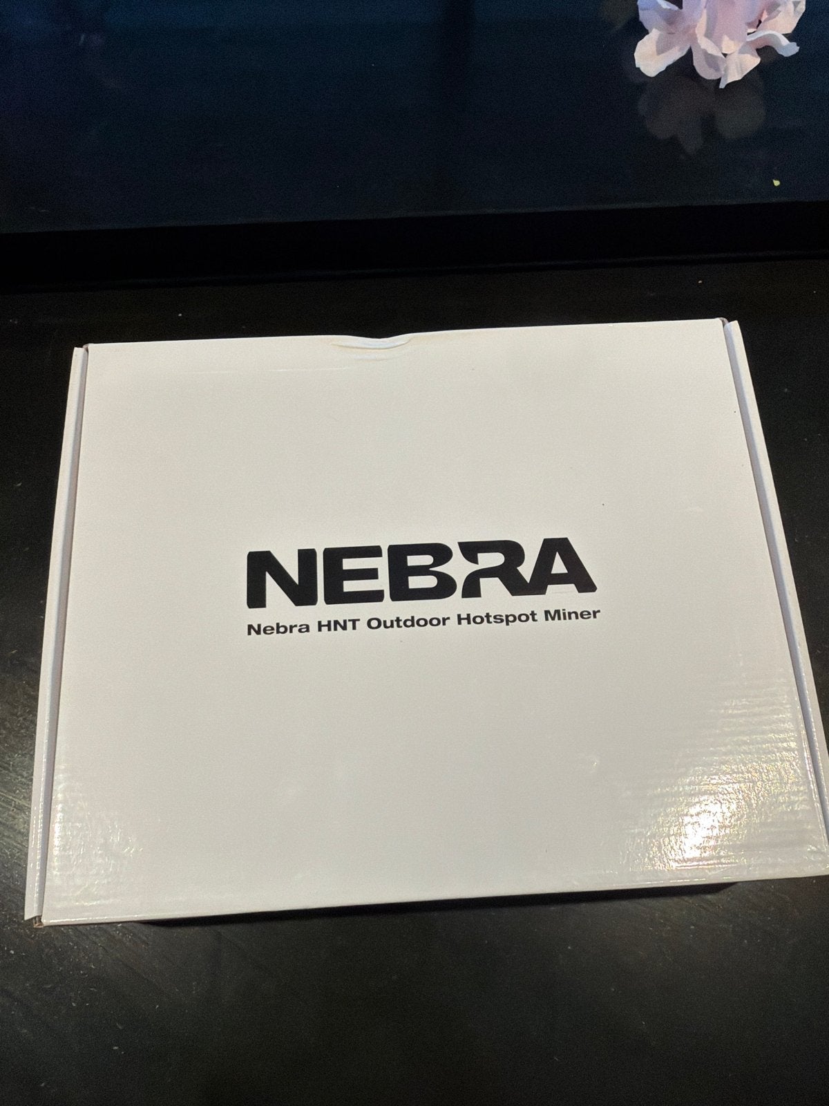 Nebra HNT Outdoor Hotspot Miner - Gesealde Doos, Computers en Software, Overige Computers en Software, Ophalen of Verzenden, Nieuw