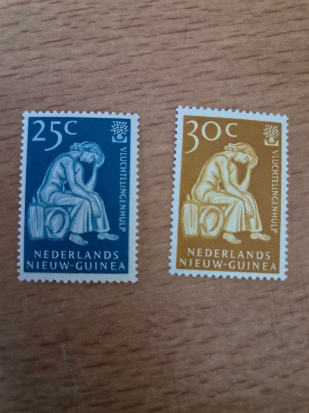 Nieuw Guinea, Ophalen of Verzenden