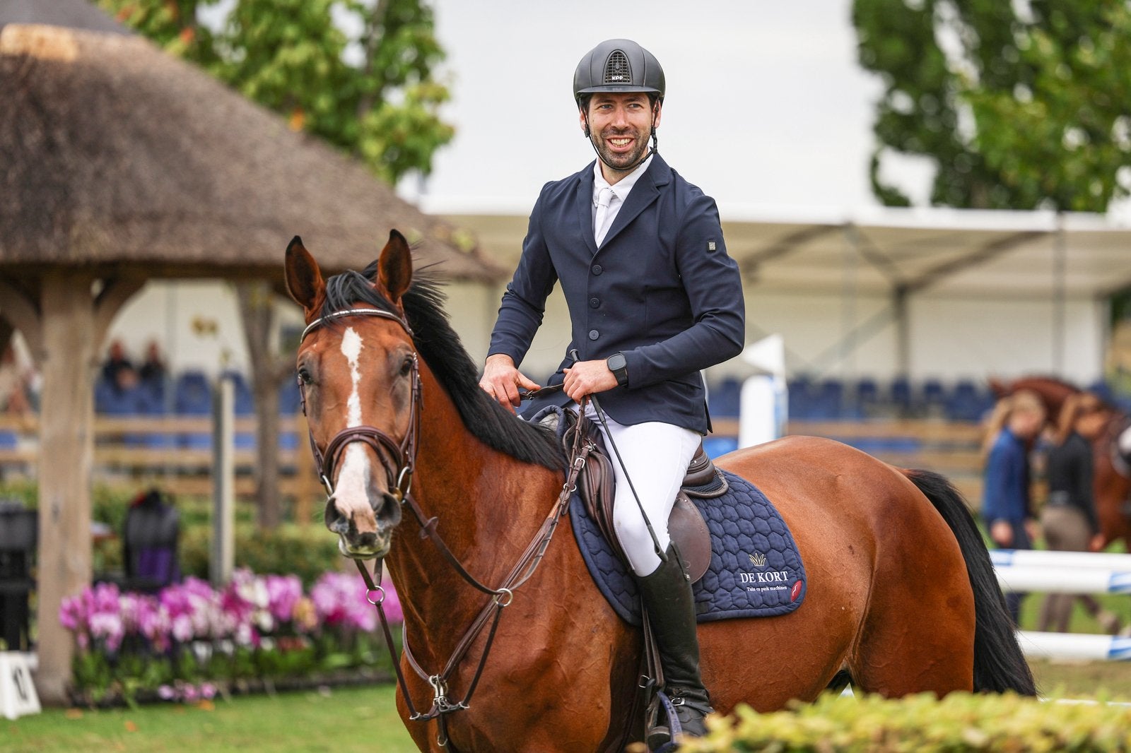 Springpaarden, Dieren en Toebehoren, Paarden, Springpaard, Met stamboom, Ruin, 3 tot 6 jaar