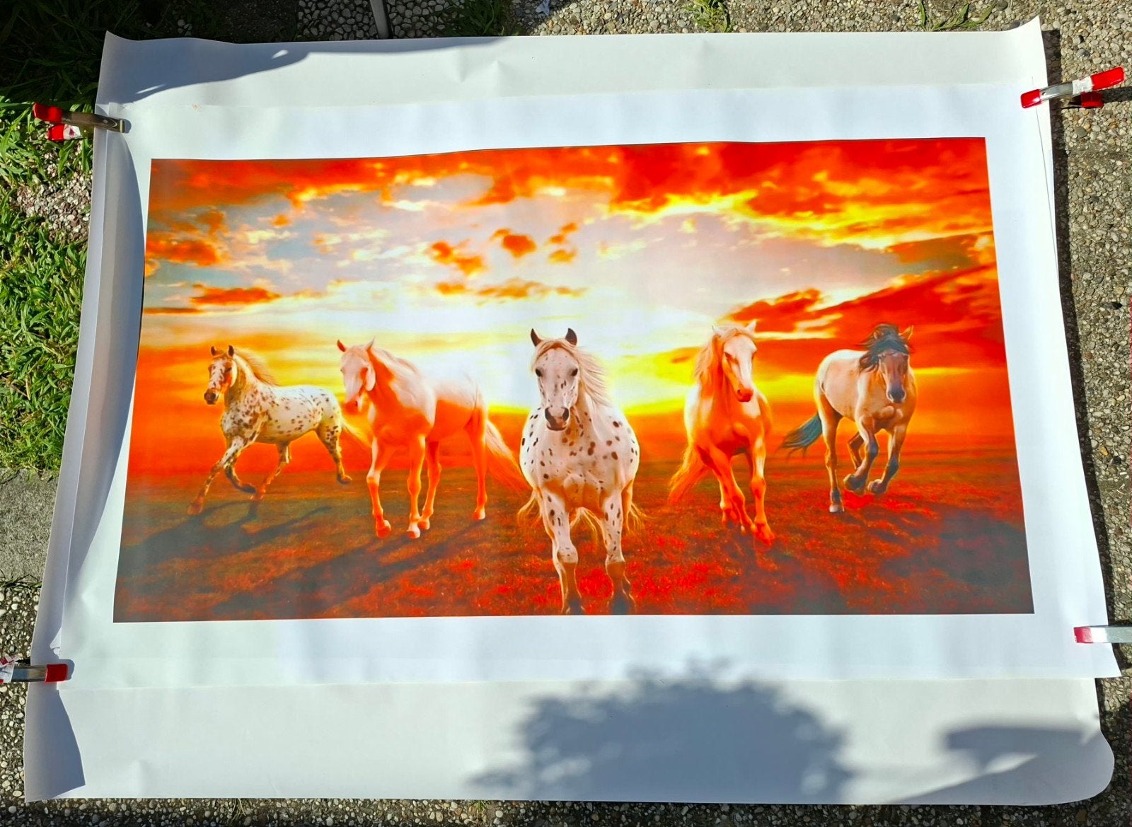 2x Paarden Poster: Oranje Zonsondergang & Zwart-Wit Water, Ophalen, Gebruikt, 125 cm of meer, 75 – 100