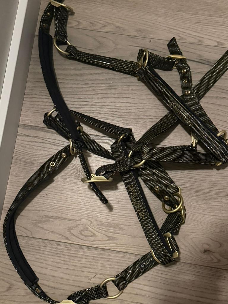 Cavalunna halster goud, Dieren en Toebehoren, Paarden en Pony's | Hoofdstellen en Tuigage, Ophalen of Verzenden, Zo goed als nieuw