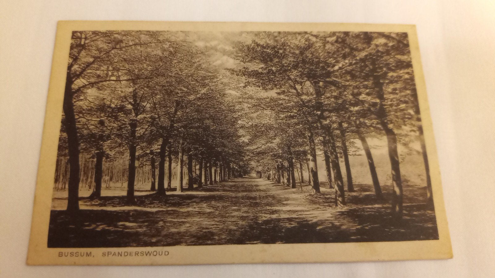 Bussum, Spanderswoud, gelopen 1940, Ophalen of Verzenden, 1920 tot 1940, Gelopen, Noord-Holland