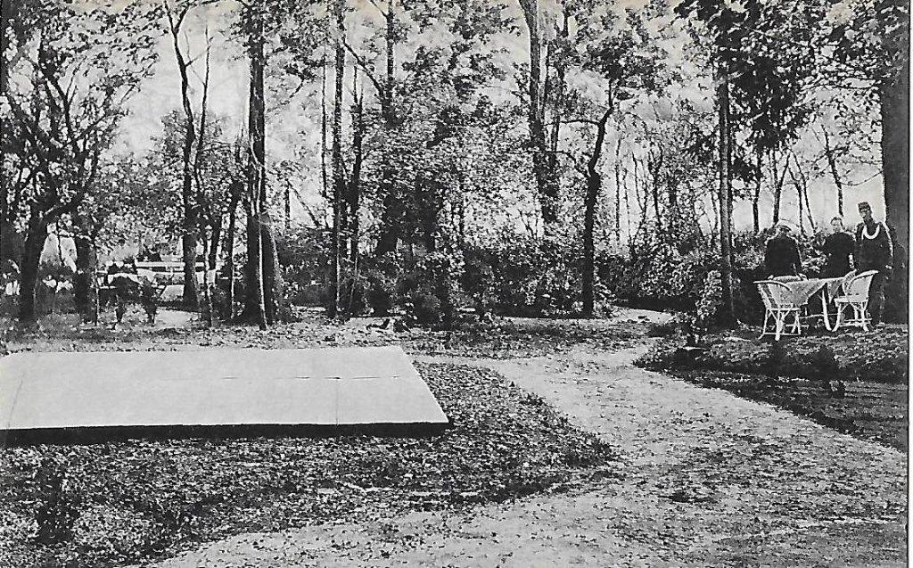 Bellingwolde tuin hotel Reiderland Ansichtkaart ( 5020, Ophalen of Verzenden, 1960 tot 1980, Ongelopen