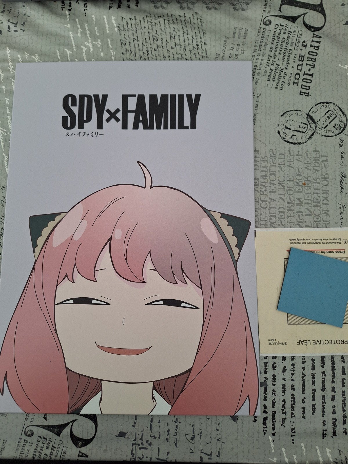 SPY x FAMILY Anya Forger Displate inclusief magneet, Verzamelen, Ophalen, Gebruikt