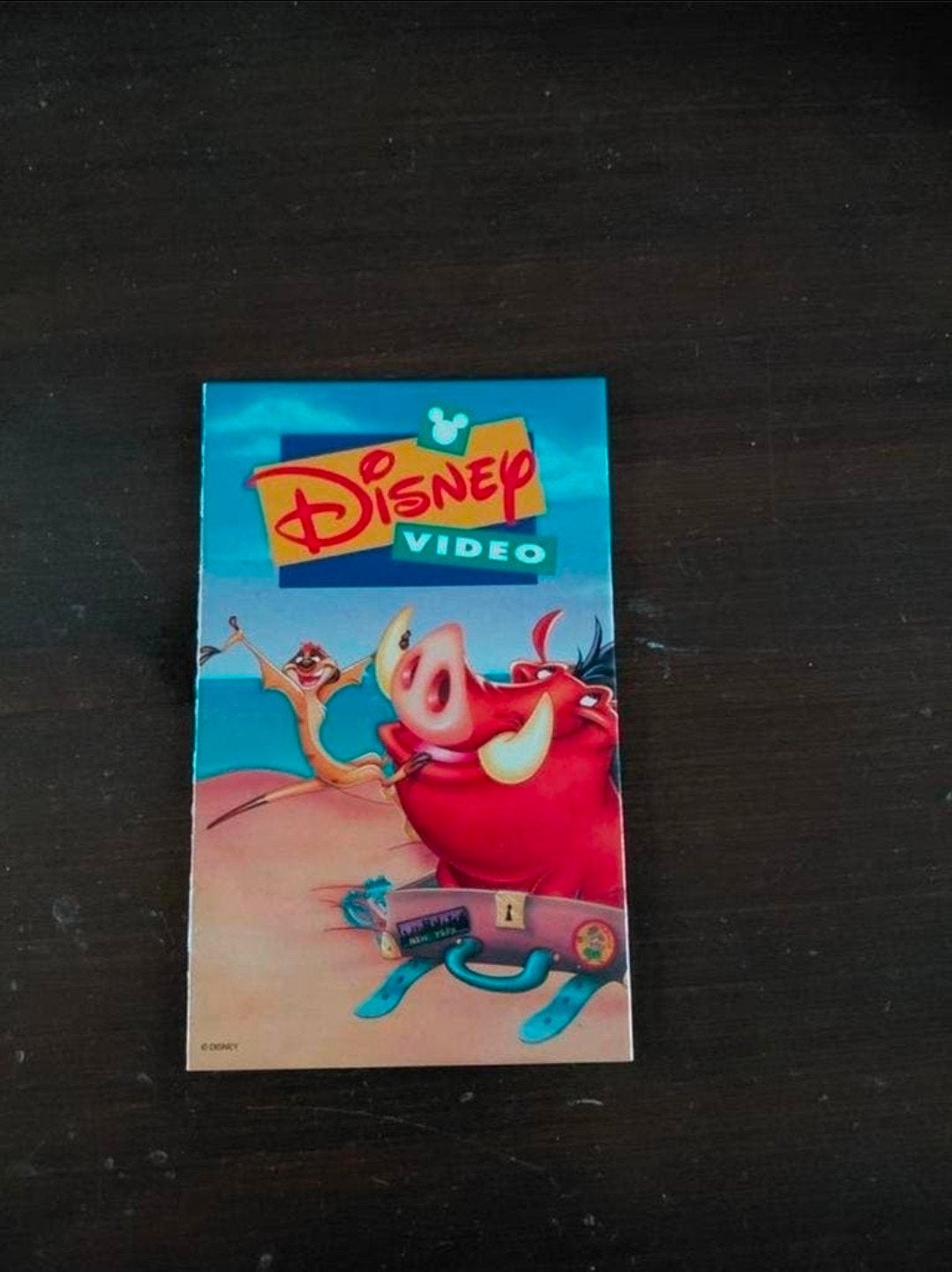 Disney band bewaar boekje timon en Pumbaa. Lion King. 1996., Ophalen of Verzenden, Leeuwenkoning of Jungle Boek, Zo goed als nieuw