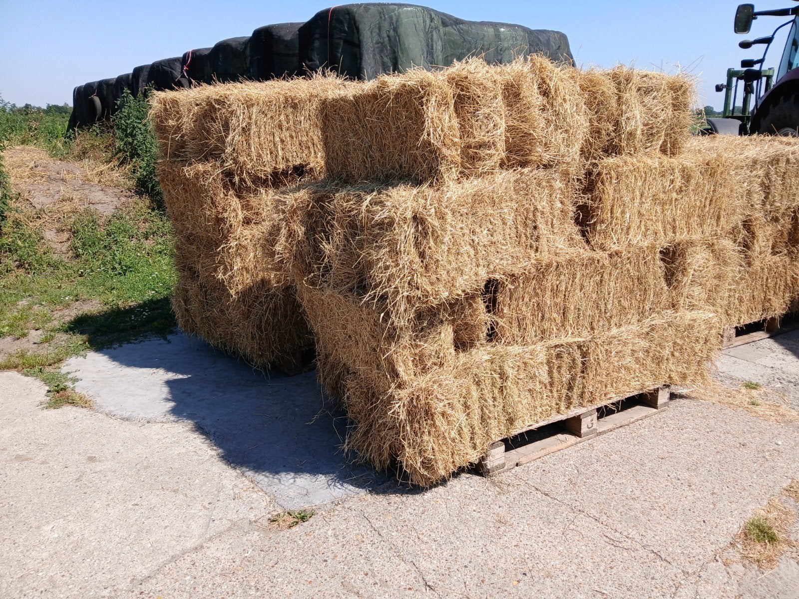 Kleine pakken balen hooi, Ophalen, Minder dan 100 cm, Minder dan 25 cm