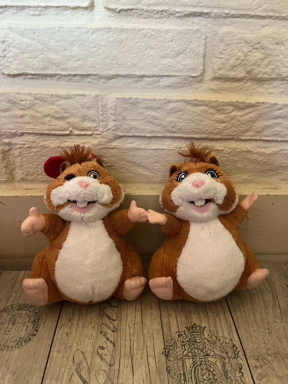 Hamsters van de albert heijn ah, Ophalen of Verzenden, Zo goed als nieuw, Overige typen