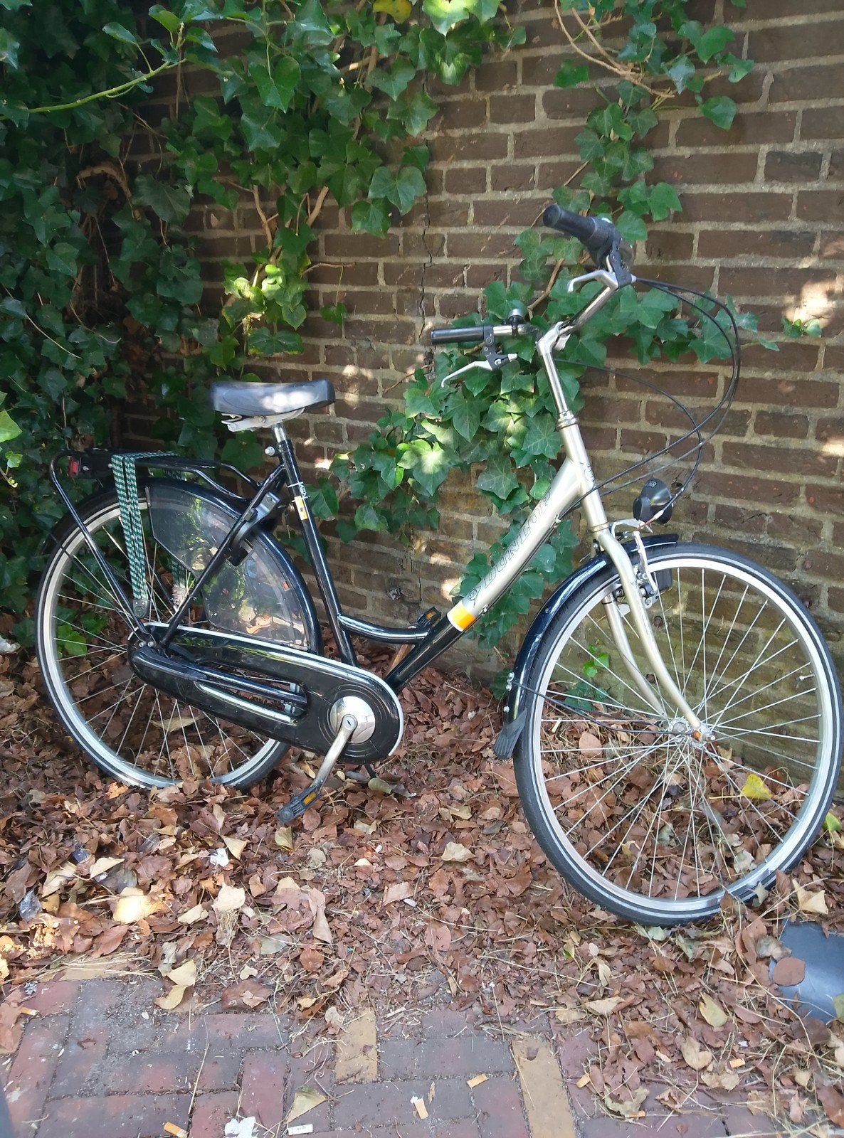 Dunlop damesfiets met 3 versnellingen en nieuw slot, Overige merken, Gebruikt, 47 tot 50 cm, Versnellingen