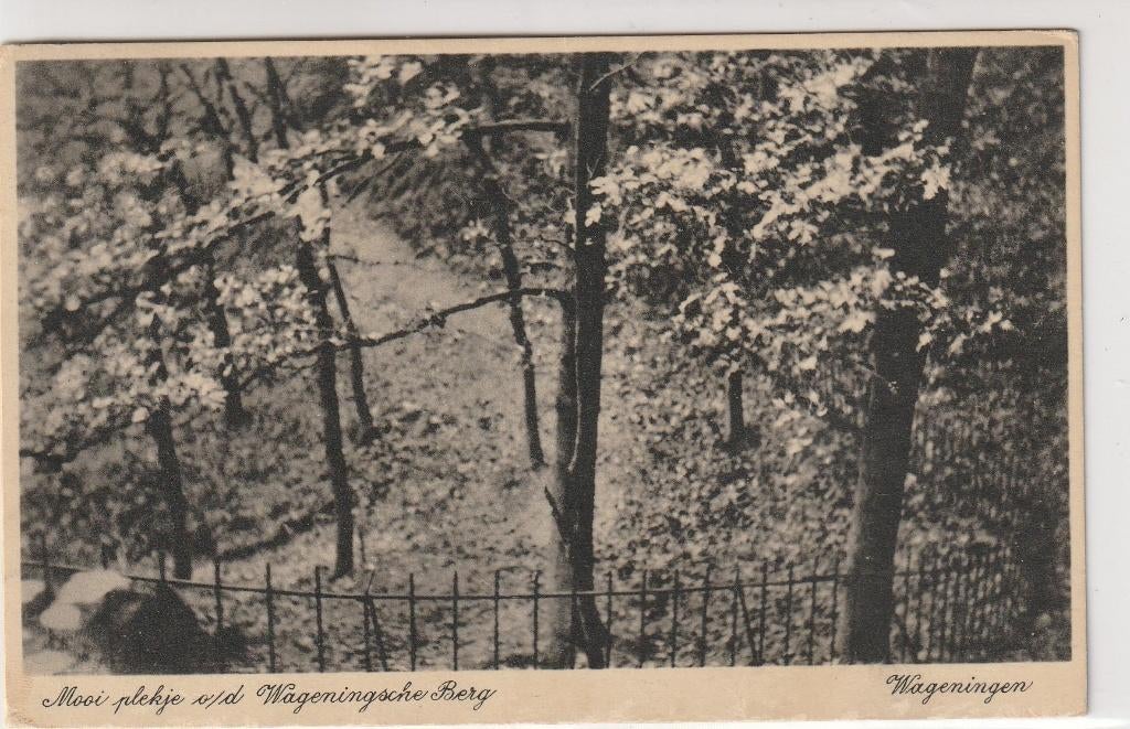 Wageningen, Ophalen of Verzenden, 1940 tot 1960, Gelopen, Gelderland